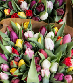 De bloemetjes buiten zetten