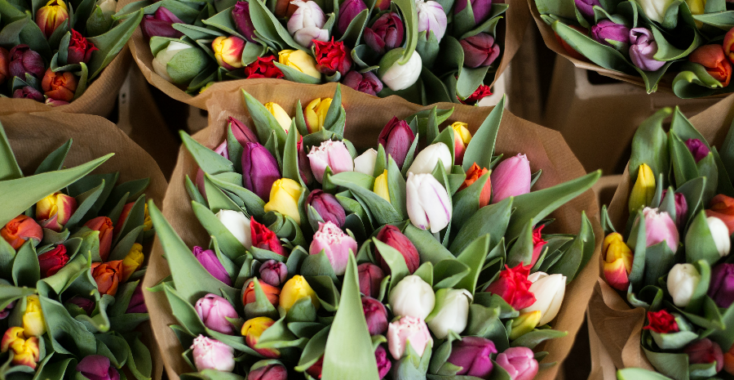 De bloemetjes buiten zetten