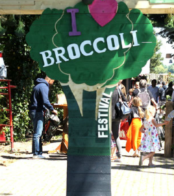 Kom naar het Broccoli Festival!