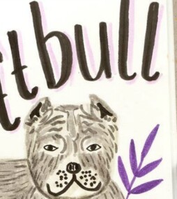 Celebimals | Van Leonardo di Leopardio tot Brad Pittbull