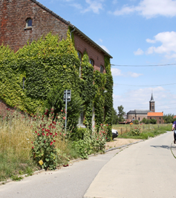 Rick in België