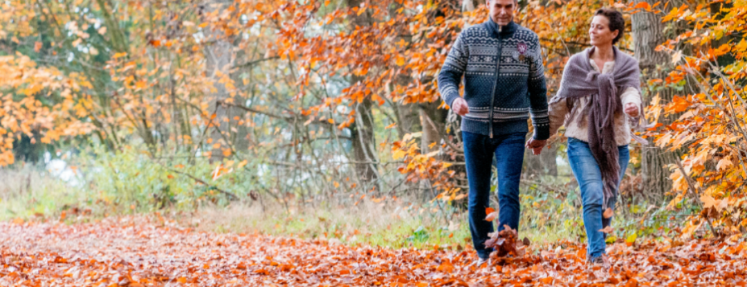 De 5 W’s van de Gelderse streken