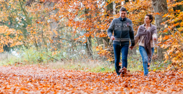 De 5 W’s van de Gelderse streken