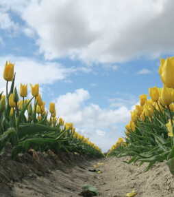 Op ontdekkingsreis naar Beek