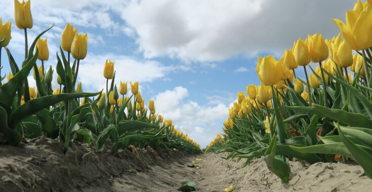 Op ontdekkingsreis naar Beek