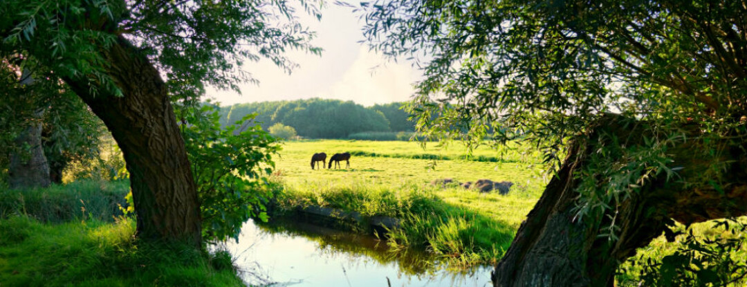 Eropuit naar het Achterhoekse Almen