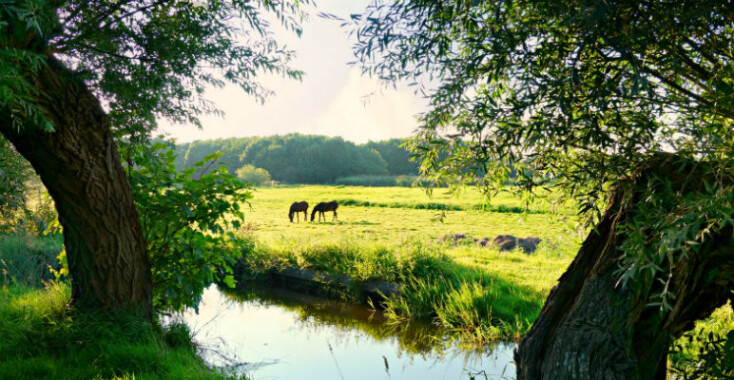 Eropuit naar het Achterhoekse Almen