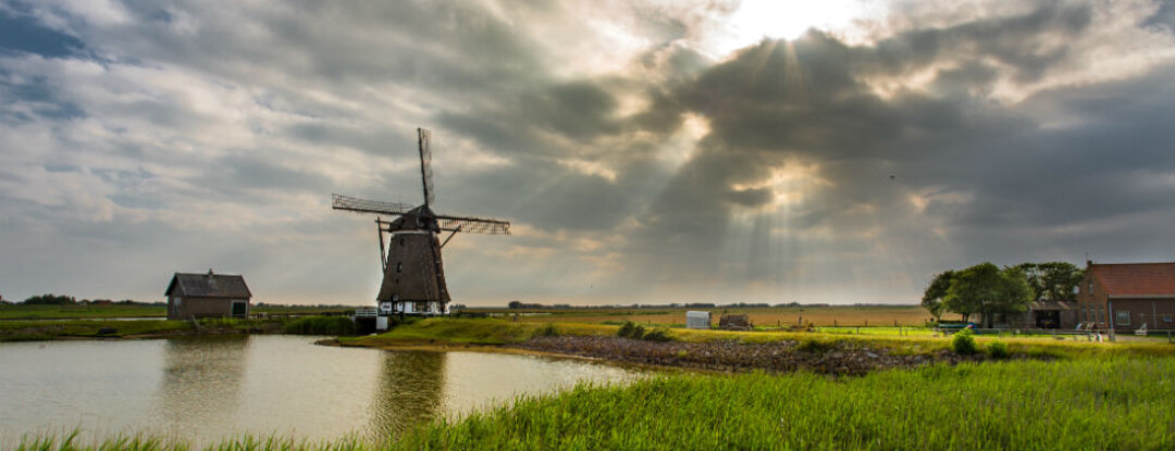 De natuur is aan zet