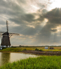 De natuur is aan zet