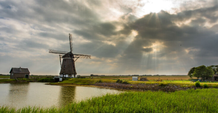 De natuur is aan zet