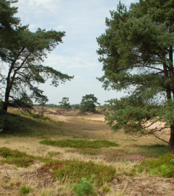 3 dagen genieten in Drenthe