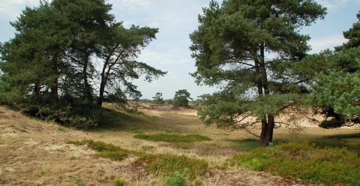 3 dagen genieten in Drenthe