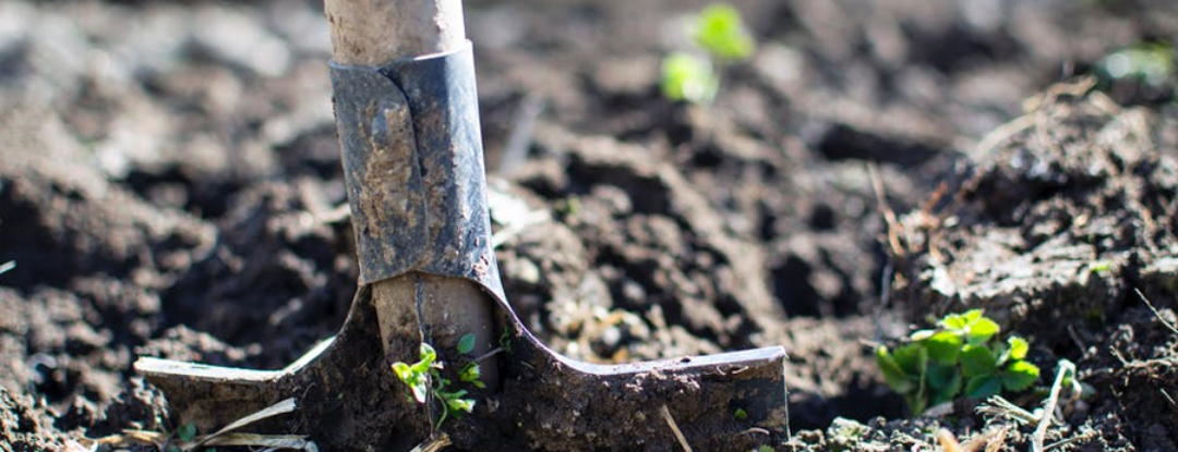 YES! Ik moet weer naar de moestuin