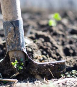 YES! Ik moet weer naar de moestuin