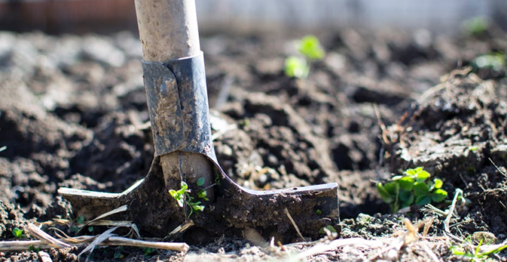 YES! Ik moet weer naar de moestuin