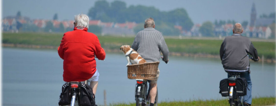 Vlieland net als in het boek