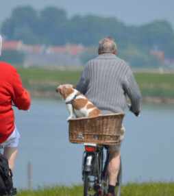 Franse chansons op de fiets