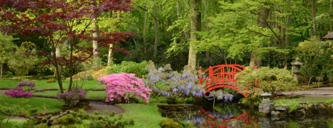 De Japanse tuin gaat weer open!