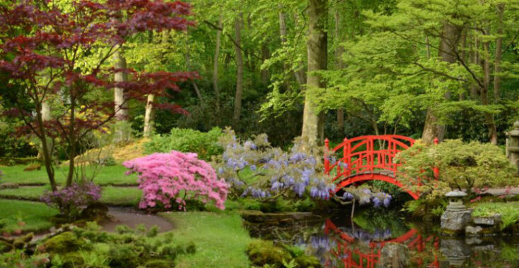 De Japanse tuin gaat weer open!