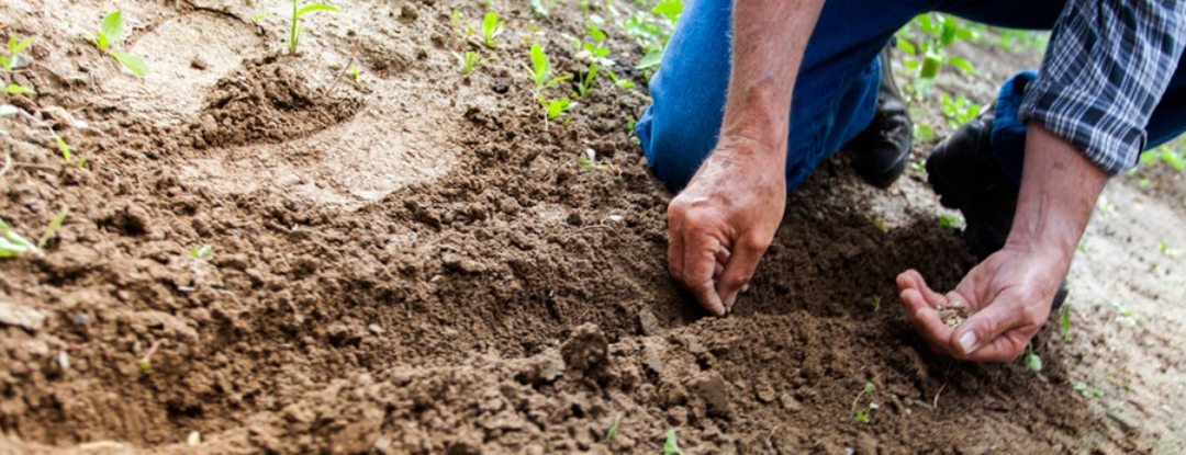 8x je tuin zomerklaar