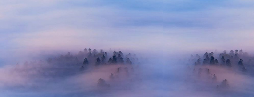 De mist in gaan