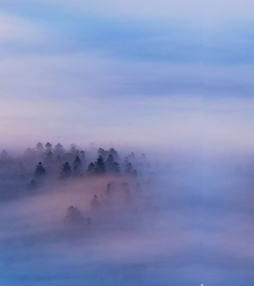 De mist in gaan