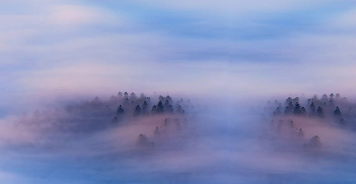 De mist in gaan