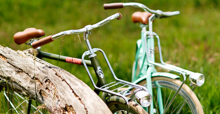 Fiets en puzzel Nederland door