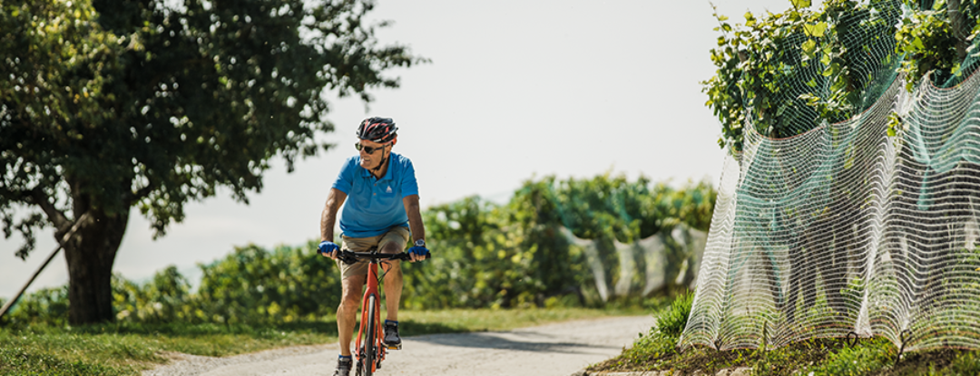 Zwitserland fietsland