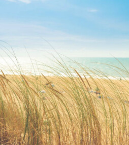 5x kans Weekendje aan Zee