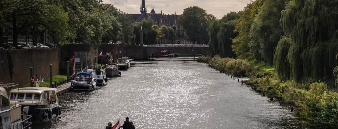 Kom cultuur proeven in ’s-Hertogenbosch