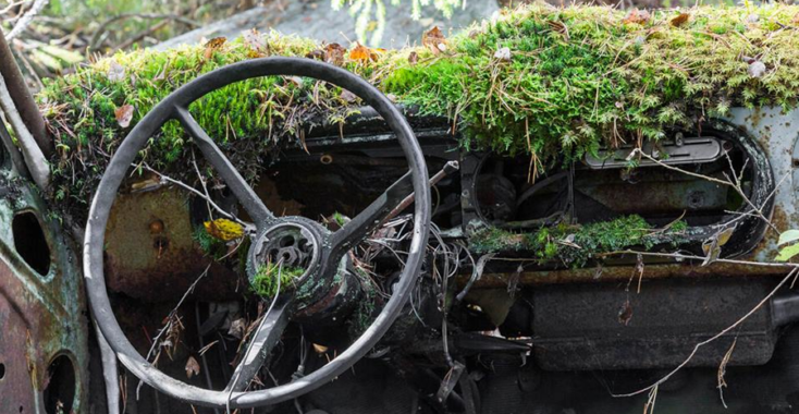 Moeder natuur overwint