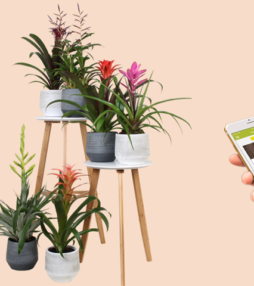 Met een app je planten water geven