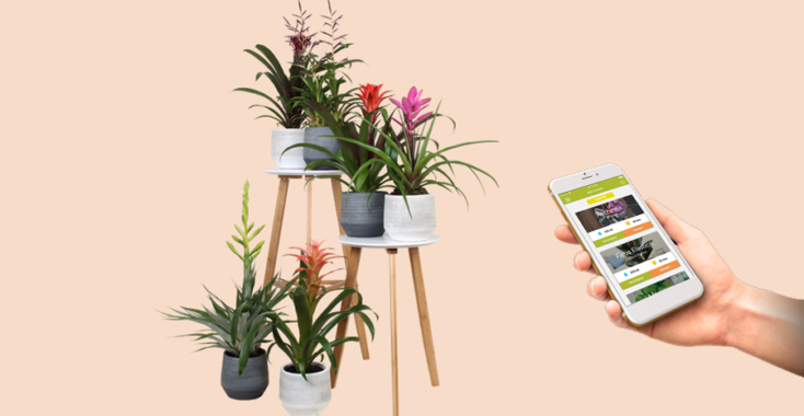 Met een app je planten water geven