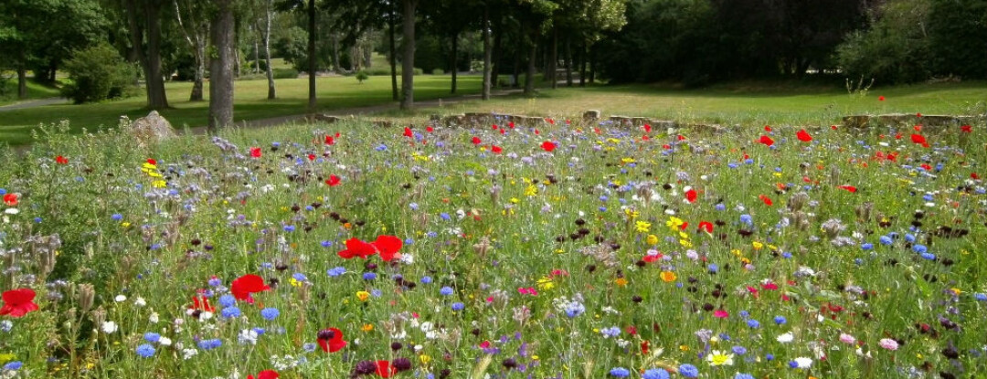 Zelfs niet-groene vingers gaan ervan jeuken