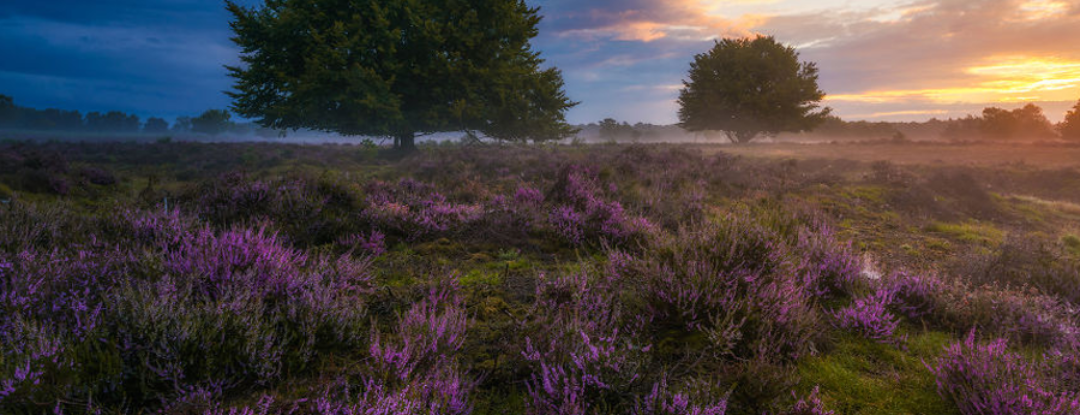 Deze foto’s van Nederland moet je zien