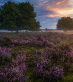 Deze foto’s van Nederland moet je zien