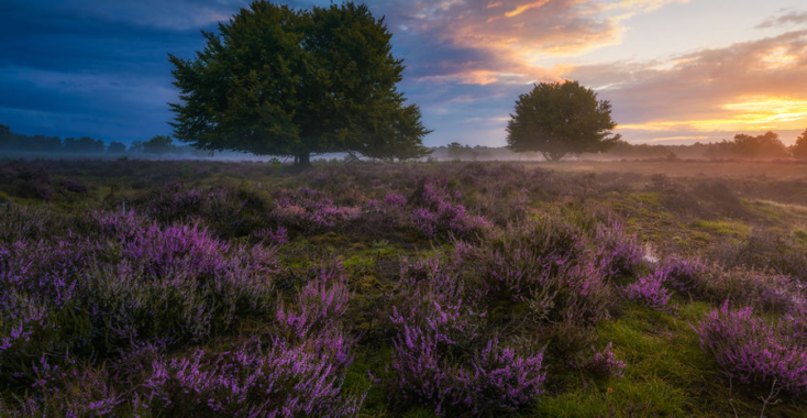 Deze foto’s van Nederland moet je zien