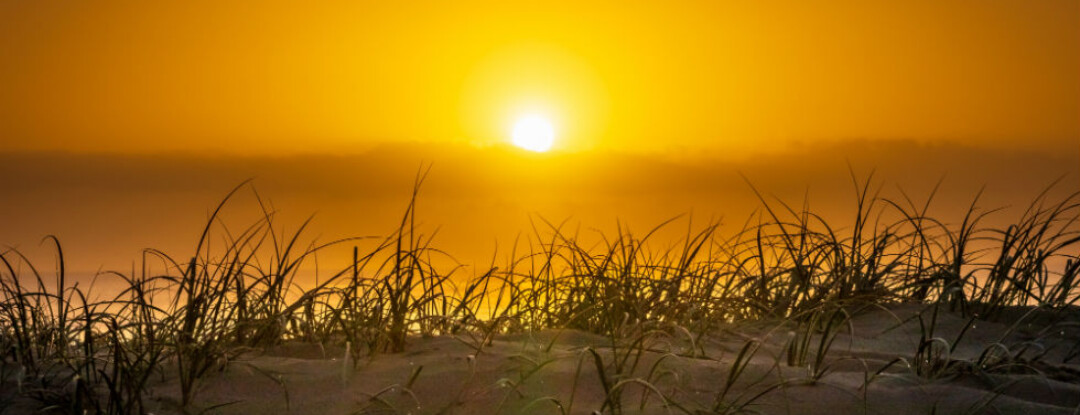 Hoera! Het wordt weer langer licht