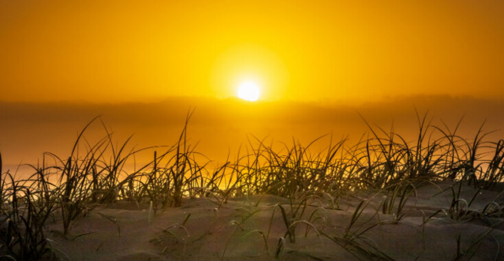 Hoera! Het wordt weer langer licht