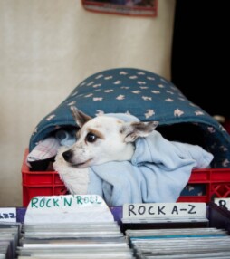 3 ijzersterke redenen om je CD’s te koesteren