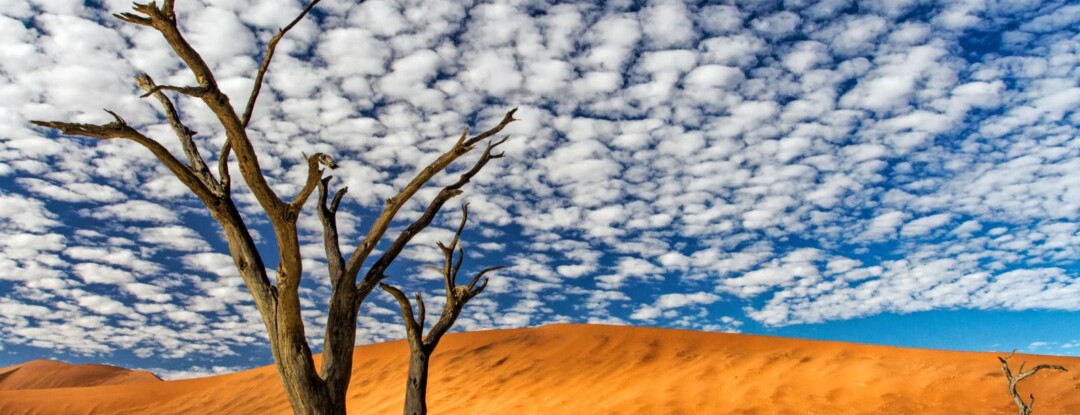 ‘Dit gebied is voor mij het mooiste landschap dat ik ooit heb gezien’