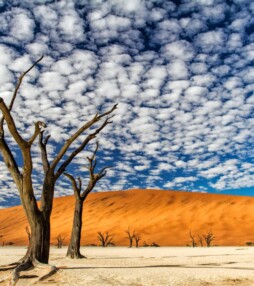 ‘Dit gebied is voor mij het mooiste landschap dat ik ooit heb gezien’