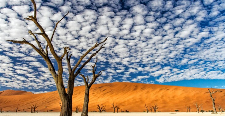 ‘Dit gebied is voor mij het mooiste landschap dat ik ooit heb gezien’