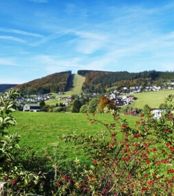 Onthaasten in Sauerland