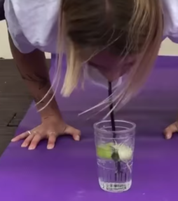 Yoga met een borrel op: gin-tonic yoga