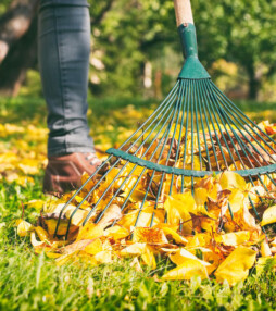 Is jouw tuin al winterklaar?