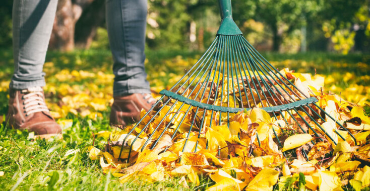 Is jouw tuin al winterklaar?