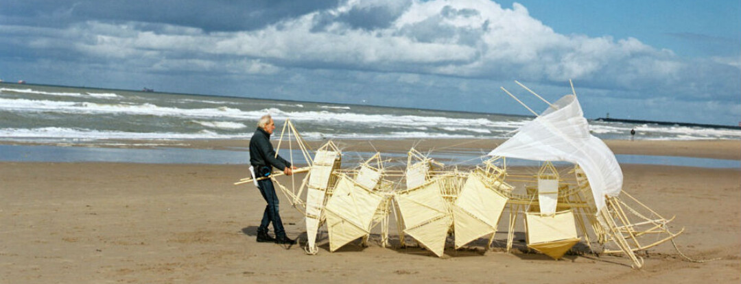 De wereldberoemde strandbeesten!