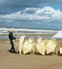 De wereldberoemde strandbeesten!